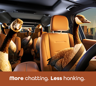 Geese carpooling