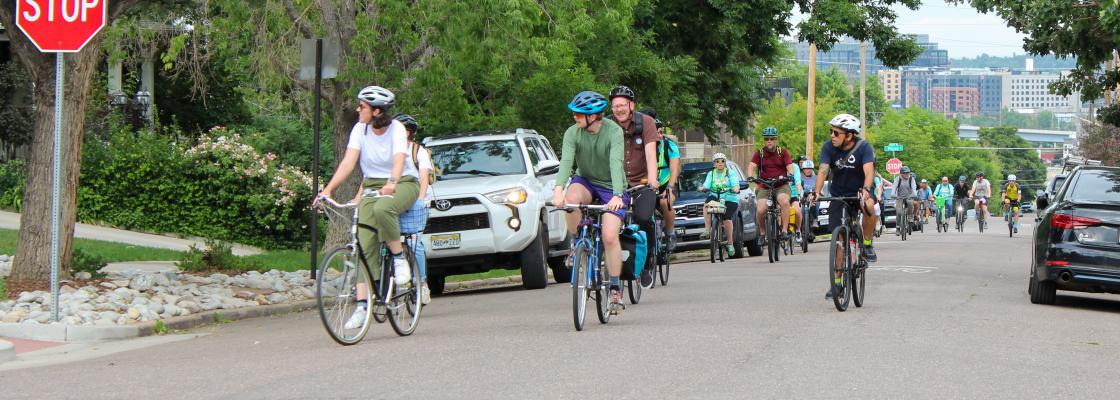 A group of people on bikes ride up a hill to stop at a stop sign through a residential area with many trees along the road and urban buildings in the background.