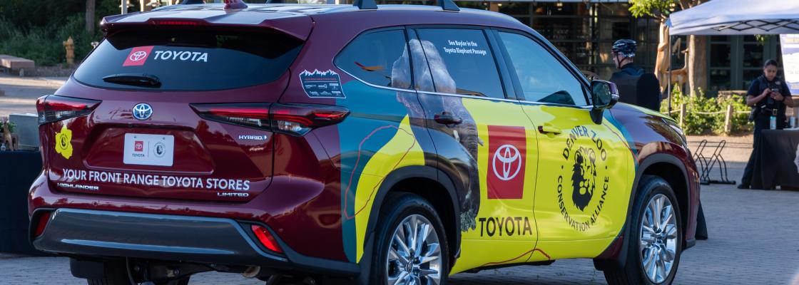Photo of a red Toyota Highlander with Denver Zoo advertising printed on the car in yellow.