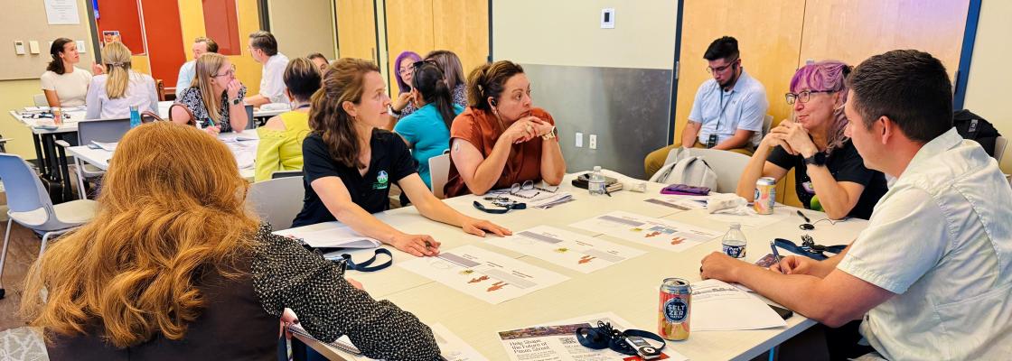 People participate in small-group discussions around tables during a workshop in a meeting room.